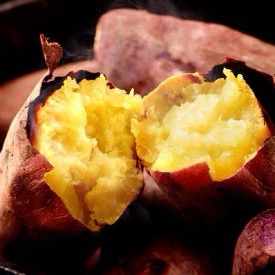 焼き芋頂上決戦！～九大vs鹿児島～