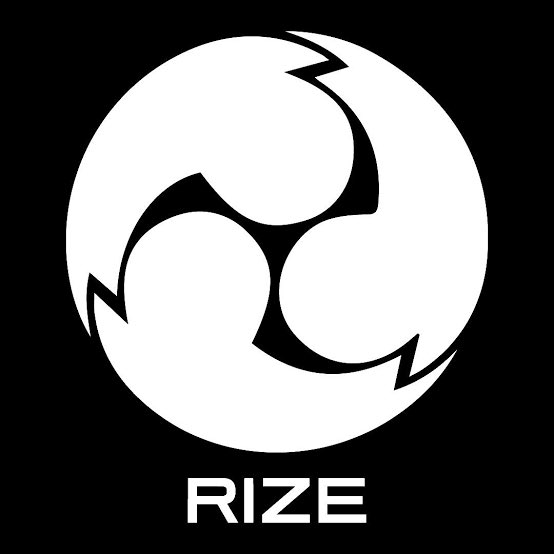 RIZEのコピー